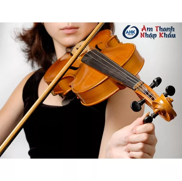 Những điều có thể bạn chưa biết về đàn violin 