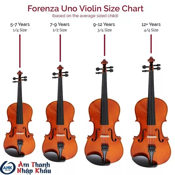 Những điều có thể bạn chưa biết về đàn violin 