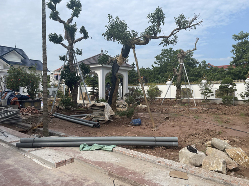 Hệ thống loa sân vườn gia đình