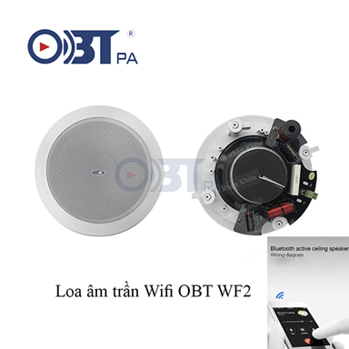 Loa âm trần Wifi OBT WF2