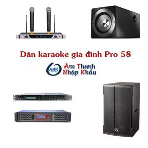 Dàn karaoke gia đình Pro 58