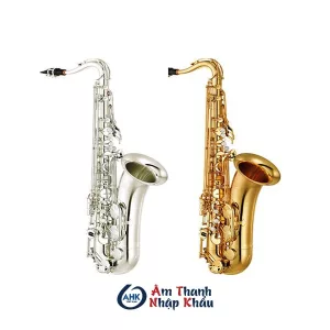 Những thông tin bổ ích về kèn Saxophone