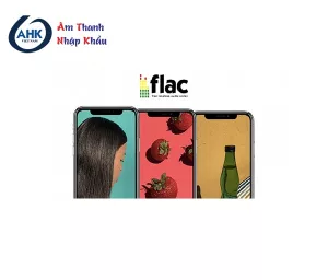 Định Dạng Nhạc FLAC