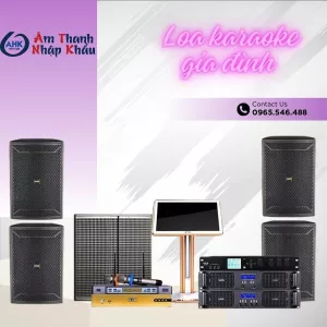 Các loại loa karaoke phù hợp với gia đình