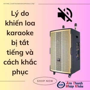 Loa karaoke bị mất tiếng và cách khắc phục