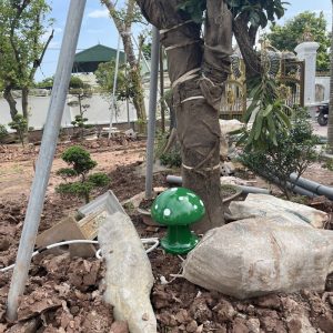 Hệ thống loa sân vườn gia đình