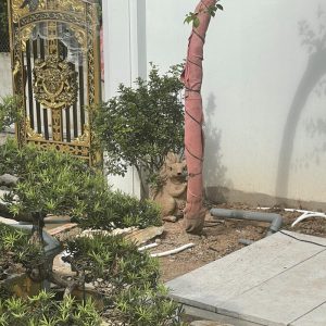 Hệ thống loa sân vườn gia đình
