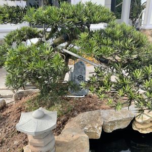 Hệ thống loa sân vườn gia đình