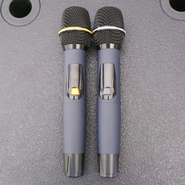 Loa karaoke OBTPro Compact 5.5